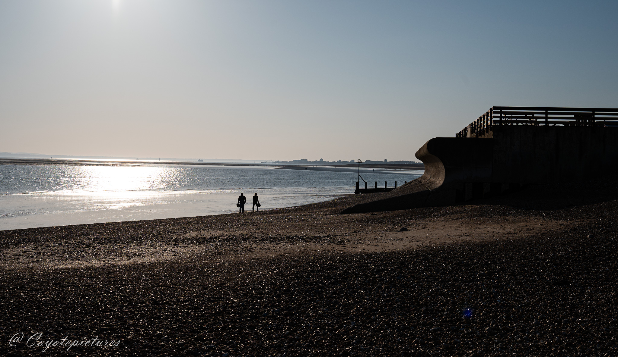 Community upload by Coyote pictures