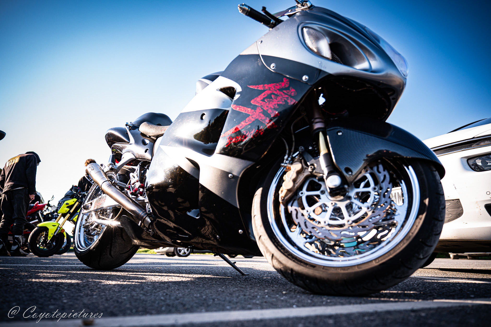 Community upload by Coyote pictures