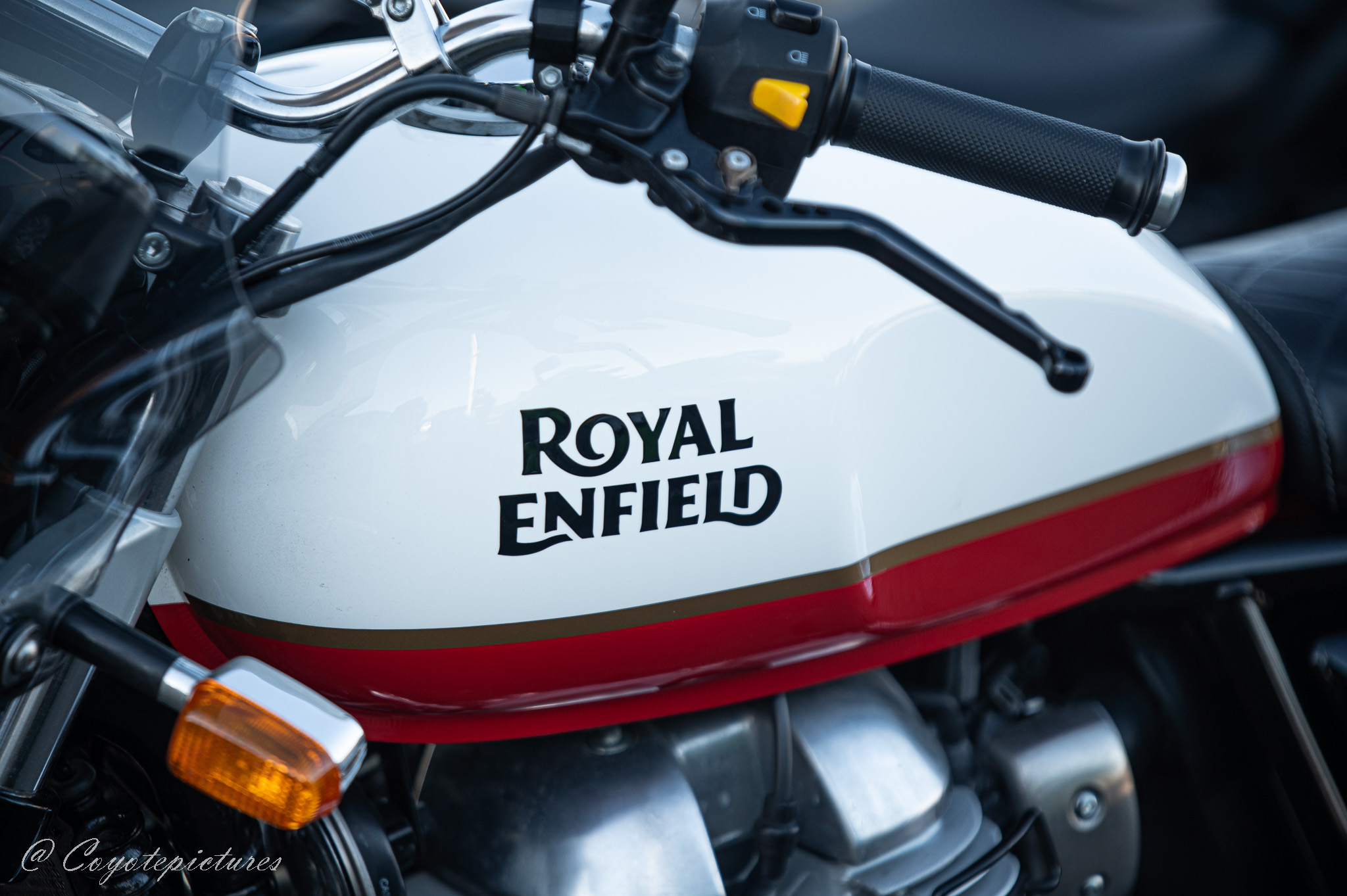 Community photo by Coyote pictures