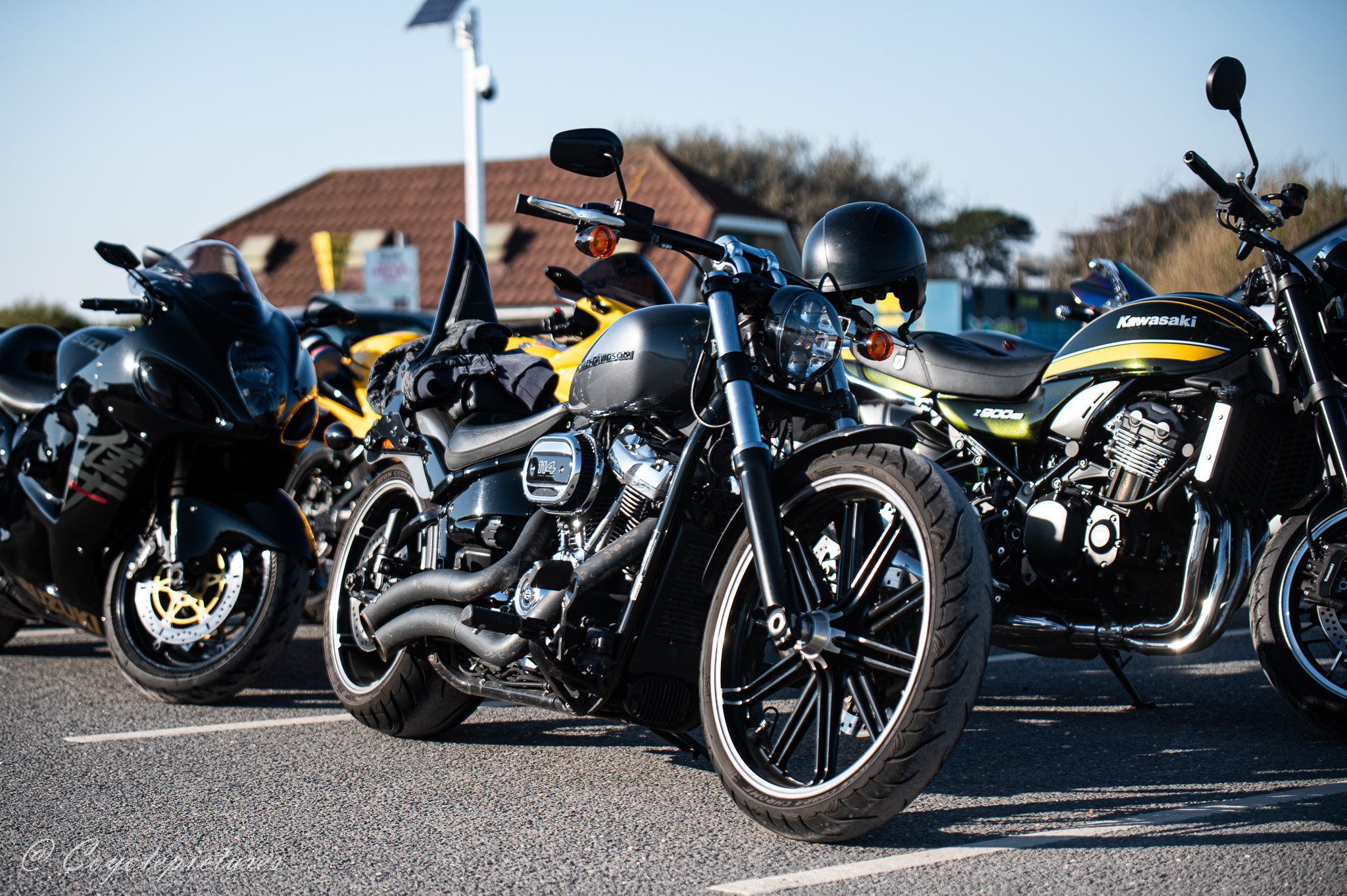 Community photo by Coyote pictures