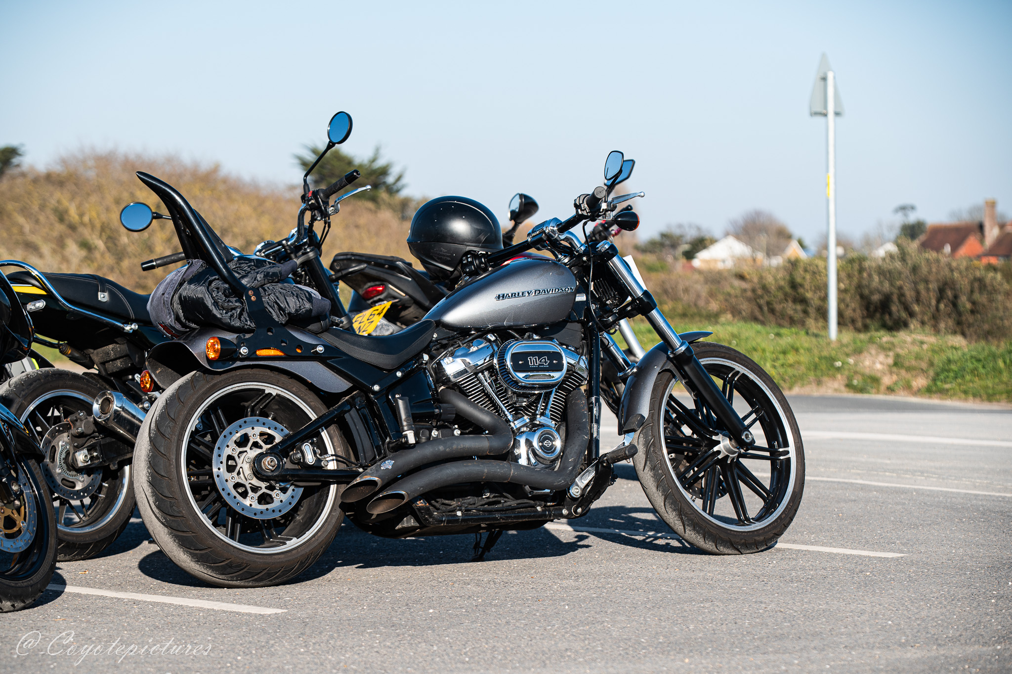 Community photo by Coyote pictures